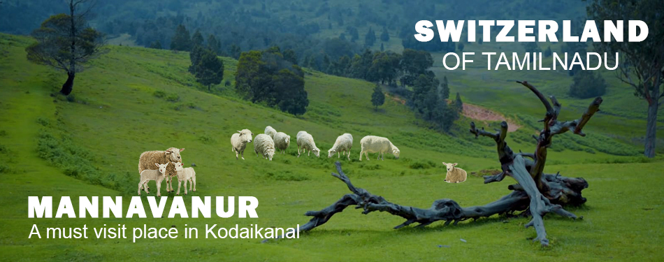 Mannavanur, Kodaikanal