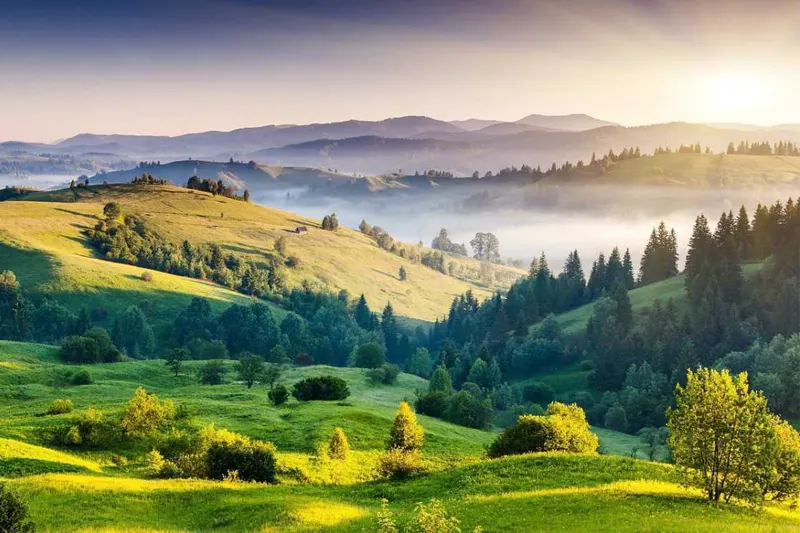 Kodaikanal 1 Day Tour