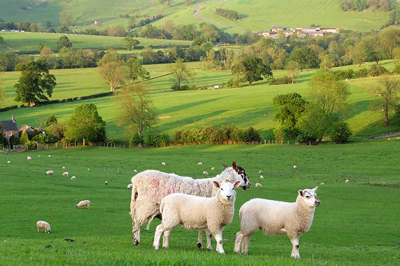 Kodaikanal 3 Days Tour Package