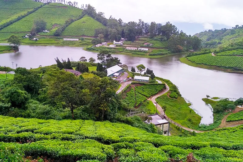 Megamalai 1 Day Tour