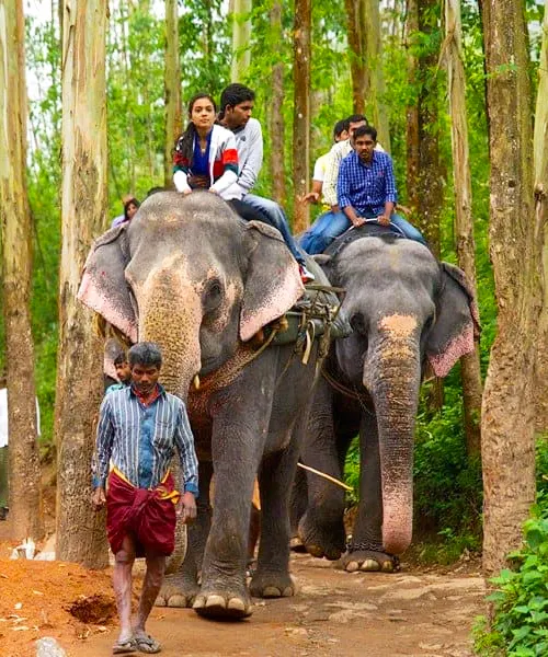 Madurai Kodaikanal & Munnar Tour