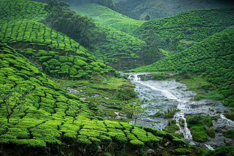 Munnar 3 Days Tour Package