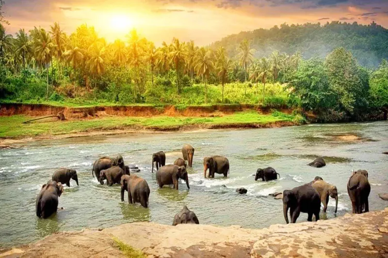 Thekkady Munnar 3 Days Tour